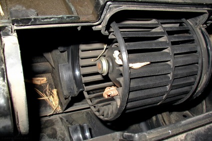 Cseréje motor (ventilátor) sütőben VAZ-2114, saját kezével