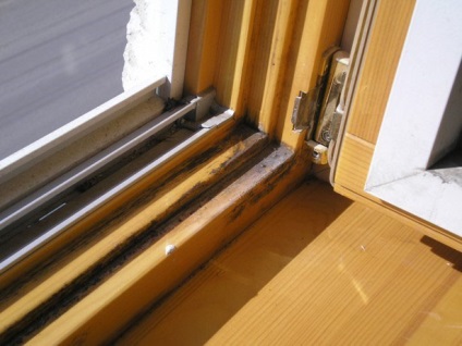 Freeze fa ablakok hibaelhárítási eljárások