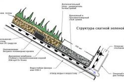 A zöld tető saját kezűleg - egy jó módja annak, hogy növeljék a földterület