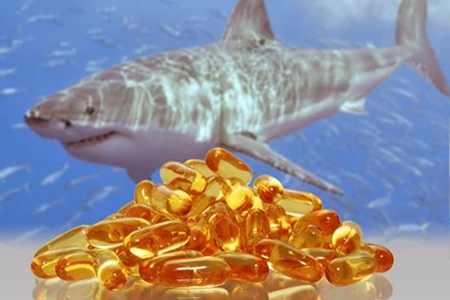 Shark olaj kapszula Használati és visszajelzést az eredmények (válasz) Shark olaj kapszula Használati és visszajelzést az eredményeket