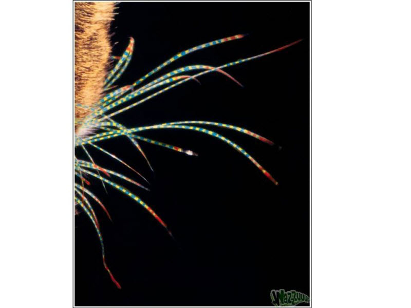 Art macskák - festett macska (40 fotó) (cat) Art macskák - festett macska (40 fotó)