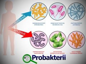 Baktériumok, amelyek emberi kéz van baktériumokkal szennyezett kéz (humán) Baktériumok, amelyek emberi kéz van baktériumokkal szennyezett kezek