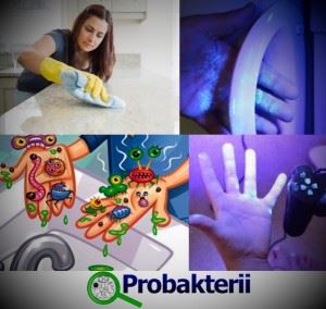 Baktériumok a kezében egy személy, amely a piszkos kéz baktériumok (baktériumok) Baktériumok, amelyek emberi kéz van baktériumokkal szennyezett kezek