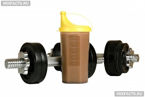 A protein koktél edzés után a fogyás (képzés) Protein shake edzés után fogyás