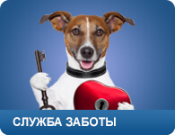 Ingyenes állatorvosi klinika Moszkvában! (A belépés ingyenes a belépés ingyenes) Ingyenes állatorvosi klinika Moszkvában!