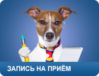 Ingyenes állatorvosi klinika Moszkvában!