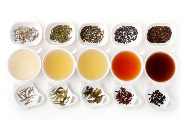 Tea üzlet az alapoktól kezdve az üzleti terv egy teázó a számítások a jövedelmezőség és a költségek