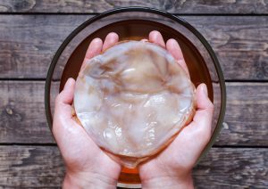 Kombucha mi több tele - vagy ártalom (mi) Kombucha mi több tele - vagy ártalom