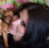 Chihuahua - Chihuahua értékelések előnye és hátránya - a felhasználói fiók egy szuka (kotik222) a (háziállatok) Chihuahua - Chihuahua értékelések előnye és hátránya - a felhasználói fiók egy szuka (kotik222) a