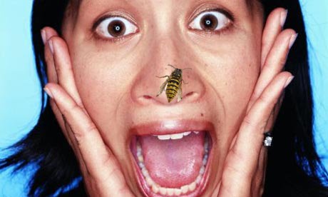 Mi a teendő, miután egy méh csípés, távolítsa el a fullánkot, és hogyan kell a fájdalom enyhítésére