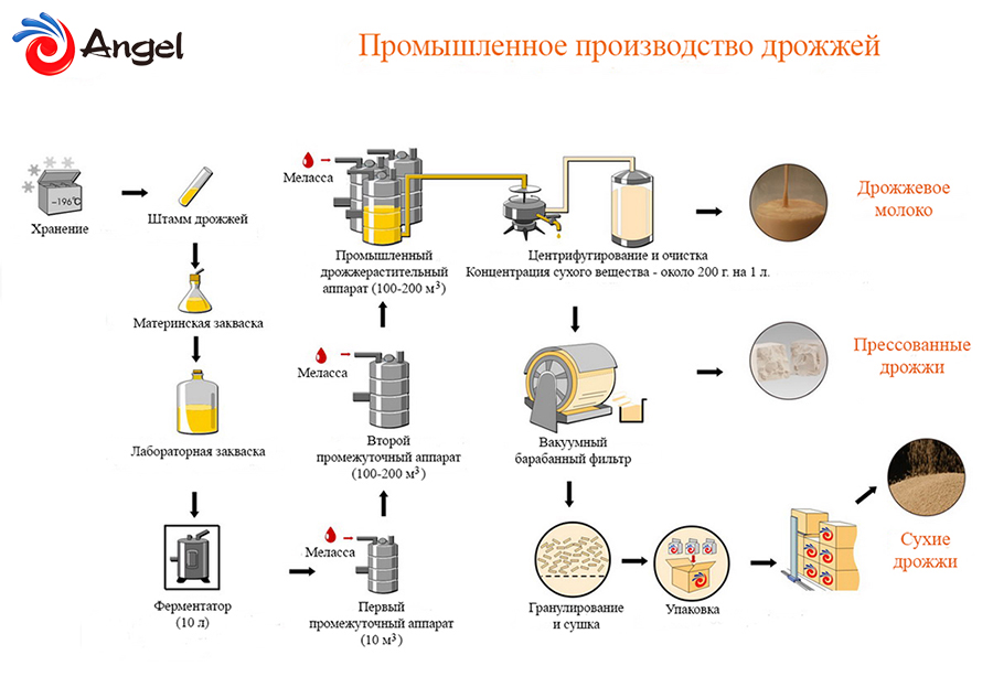 Mi élesztő angyal élesztő co, ltd (élesztő) Mi élesztő angyal élesztő co, ltd