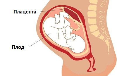 Mi a szívroham és jellemzői (szívroham) Mi a szívroham és jellemzői