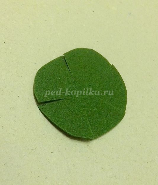 Virágok kökörcsin foamirana (Master-osztály lépésről lépésre fotók) Virágok az Anemone foamirana