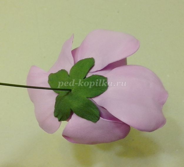 Virágok kökörcsin foamirana (kéz Masterclass lépésről lépésre fotók) Virágok az Anemone foamirana