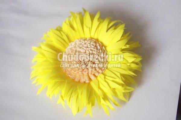 Virágok Kvilling a szakterületen (technológia) Virágok Quilling technikák