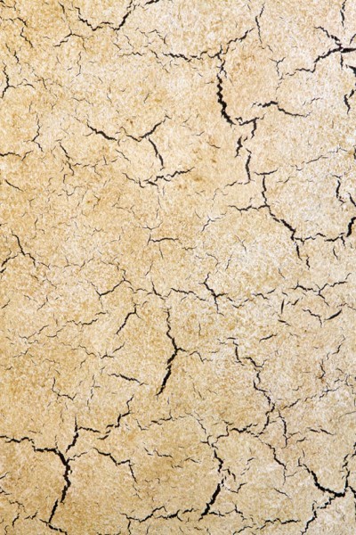 Dekoratív vakolat hatása a repedések alkalmazásával technológia dali-dekor (hatás) Dekoratív vakolat hatása a repedések alkalmazásával technológia dali-dekor