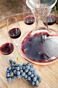 Ház a szőlőből készült bor Isabella egy egyszerű recept, hogyan kell csinálni
