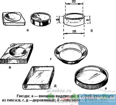 Otthon, édes otthon, vagy egy foglalat galambok előállított (rendszer) Otthon, édes otthon, vagy hogyan lehet fészket galambok