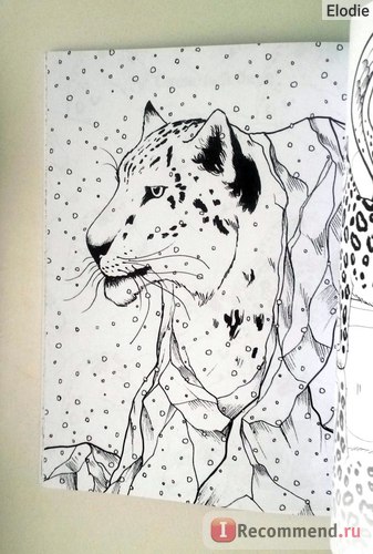 Kiváló Cat (színezés Kiváló cat) fantasztikus macska
