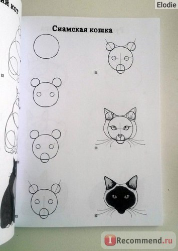Kiváló Cat (színezés Kiváló cat) fantasztikus macska