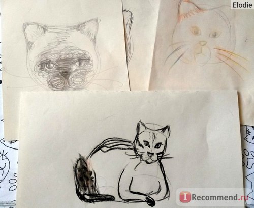 Kiváló Cat (színezés Kiváló cat) fantasztikus macska