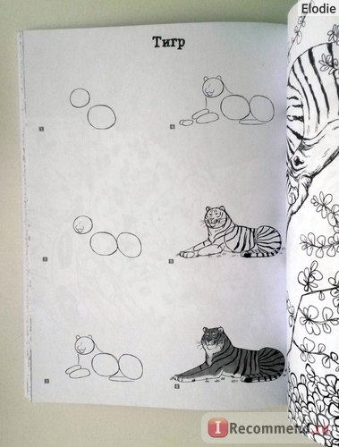 Kiváló Cat (fi) fantasztikus macska