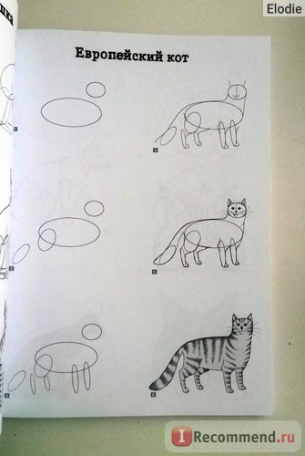 Kiváló Cat (fi) fantasztikus macska