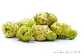 Noni gyümölcs, leírás, noni juice és hasznos tulajdonságokkal, visszacsatolás és megjegyzések (Noni) Noni gyümölcs, leírás, noni juice és szép képességgel vélemények és észrevételek