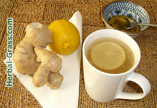 Ginger officinalis - egy fotót, a gyógyító gyökér, tea receptek a fogyás, és a férfiak