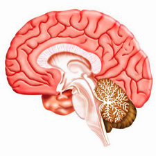 Fertőző betegségek az agy - tünetek és kezelés