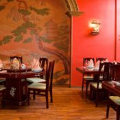 Cafe, ahol tud kommunikálni az állatokkal (lehetséges) Cafe, ahol tud kommunikálni az állatokkal