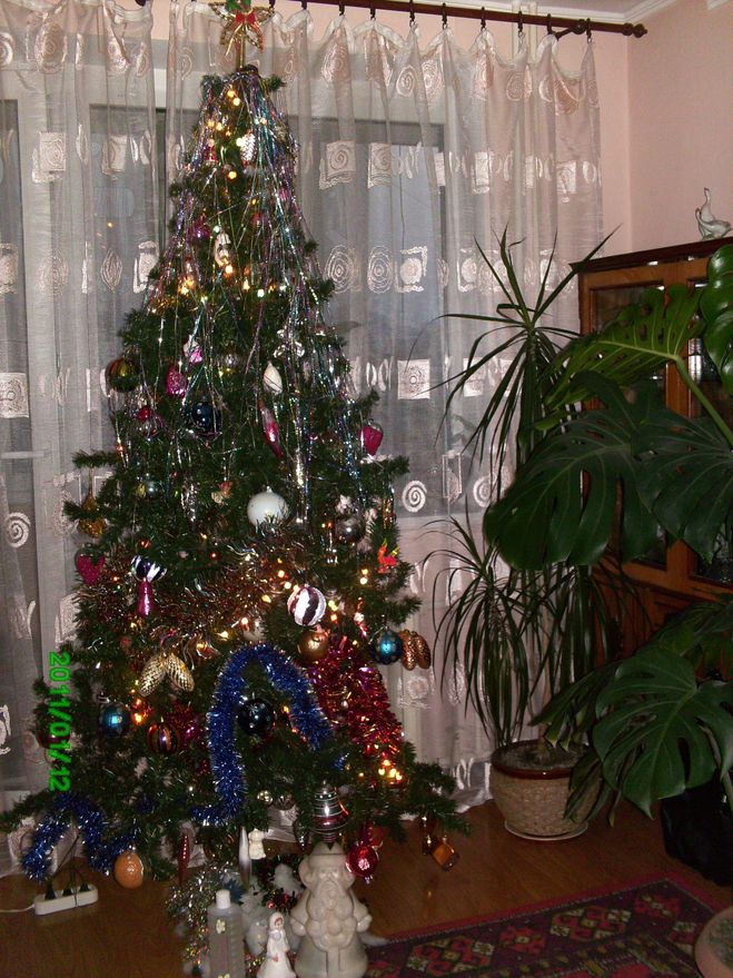 Hogyan díszíteni a karácsonyfát (dekoráció) Hogyan díszíteni a karácsonyfát