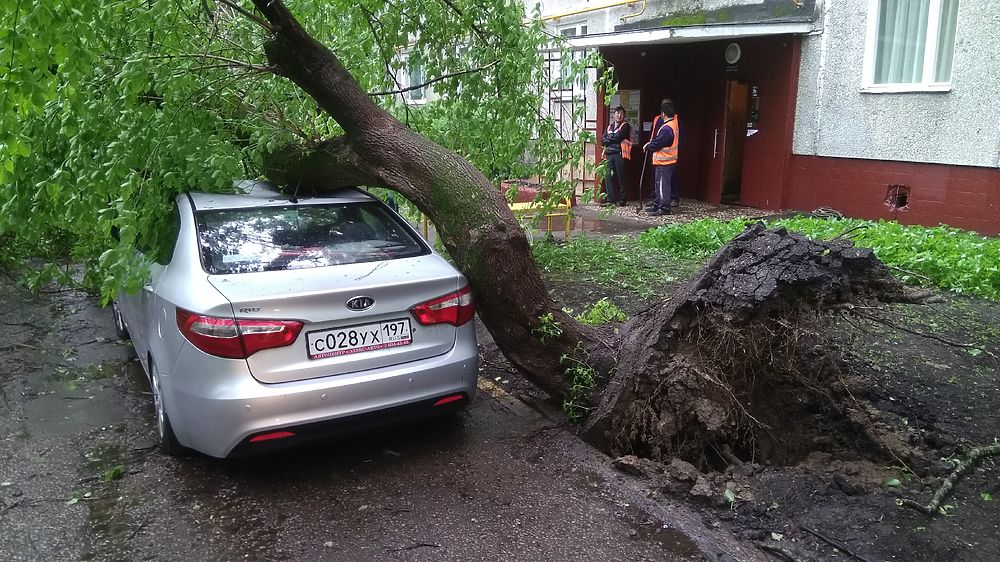 Hogyan lehet túlélni alatt egy hurrikán a városi tanácsok életmentő - Társadalom