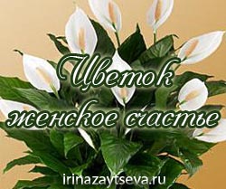 Hogyan zárjuk a külső linkek, blog Iriny Zaytsevoy (z külső hivatkozások) Hogyan zárjuk a külső linkek, blog Iriny Zaytsevoy