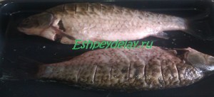 Kárász töltött - recept fotókkal (töltött ponty) Kárász töltött - recept fotókkal