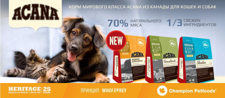 Ketrecek kutyáknak online kisállat bolt zoograd