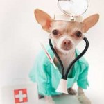Kovertal kutya EIRIS véleménye, a használati utasítást, hogy az állatok, tabletta, ahol