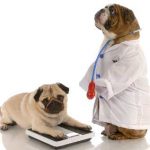 Kovertal kutya EIRIS véleménye, a használati utasítást, hogy az állatok, tabletta, ahol