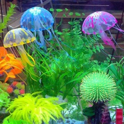medúza akvárium