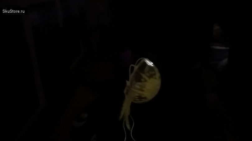Medusa egy akvárium (akvárium) medúza akvárium