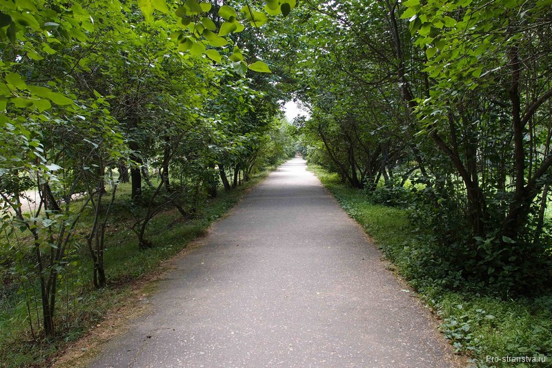 Melikhovo - a múzeum-birtok (Melikhovo) Melikhovo - Múzeum-Estate és