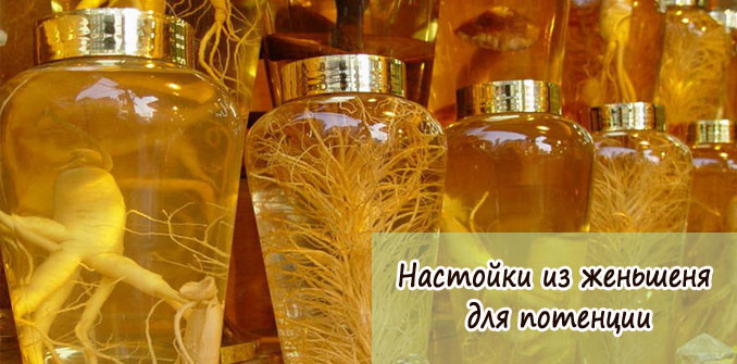 Ginseng tinktúra Az erősségre, mint vevő és előkészítése (tinktúra) Ginseng tinktúra a potenciát vegyetek és készítsetek