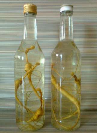 Ginseng tinktúra Az erősségre, mint vevő és előkészítése (ginseng) Ginseng tinktúra a potenciát vegyetek és készítsetek