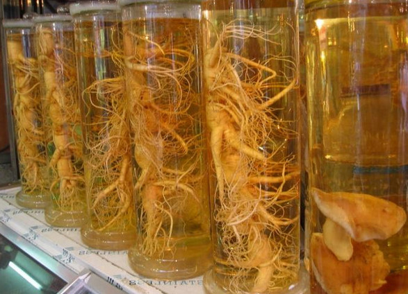 Ginseng tinktúra Az erősségre, mint vevő és előkészítése (ginseng) Ginseng tinktúra a potenciát vegyetek és készítsetek
