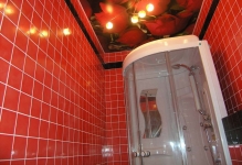 Álmennyezet a fürdőszobában előnyeiről és hátrányairól szoba, egy fotó design a WC-vel, vélemények, videók