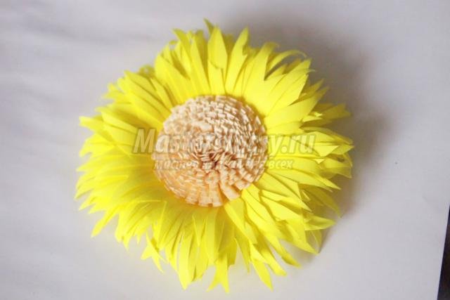 Kötet Quilling (Quilling virágok asters mester osztály) kötet Quilling
