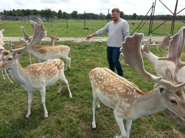 Deer traktor, megszervezése és lebonyolítása a szarvas tenyésztés