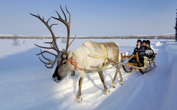 Deer traktor, megszervezése és lebonyolítása a szarvas tenyésztés