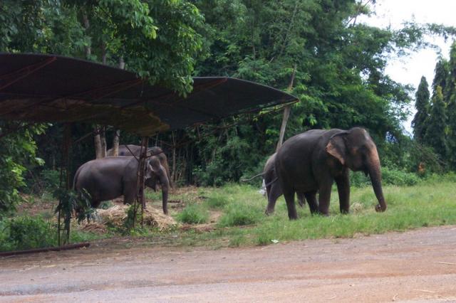 Pattaya Thaiföld térkép (Pattaya Thaiföld térkép) Pattaya Thaiföld térkép