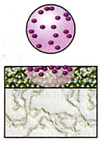 Pigment tinta - Encyclopedia - (pigment) Pigment tinta - Encyclopedia -